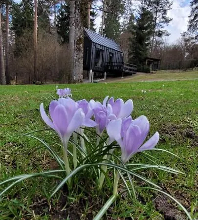 Holiday home Pine Nook *