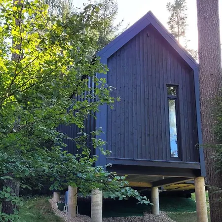 Dom wakacyjny Pine Nook